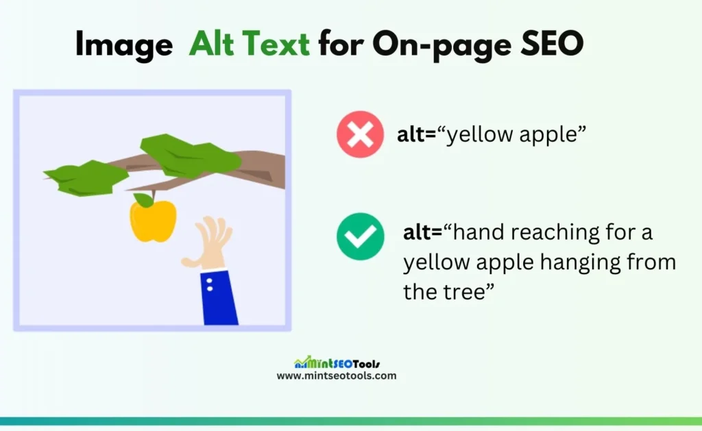 this image shows the difference between good and bad alt text for images seo