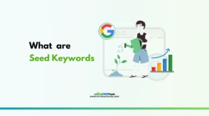 What are seed keywords, a complete guide for better seo and keyword research